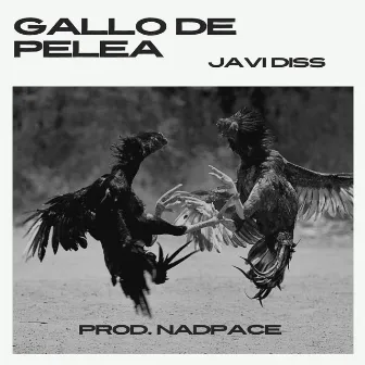 Gallo de Pelea by Javi Diss