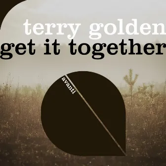 Get It Together by Terry Golden