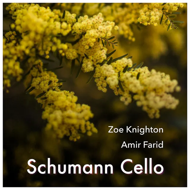 Folk Song, Op.102: IV. Nicht zu rasch