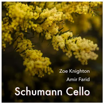 Schumann Cello by Amir Farid