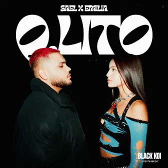 Q-Lito by Sael