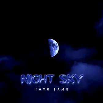 Night Sky by Tayo Lamb