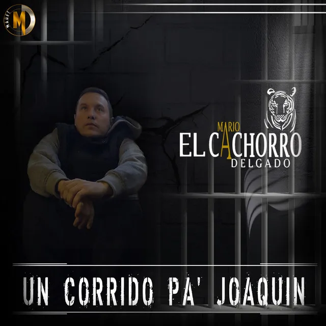 Un Corrido Pa' Joaquín