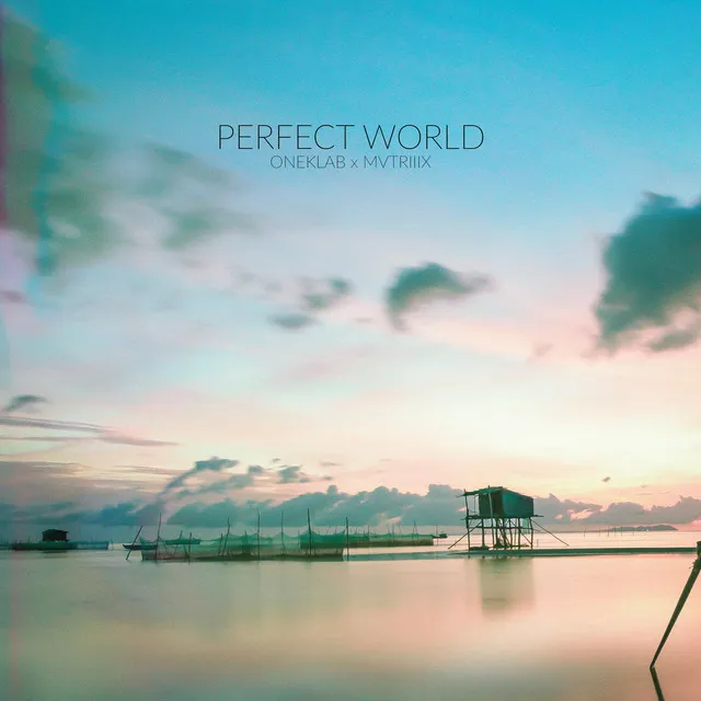 Perfect World