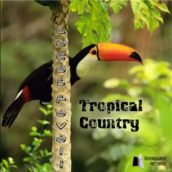 Tropical Country by Lucas Favali