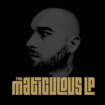 The maticulous LP by maticulous