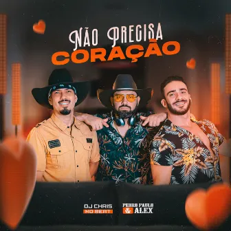 Não Precisa Coração by Pedro Paulo & Alex