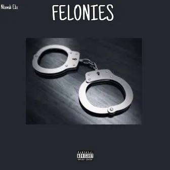 Felonies by Nkemdi Eke