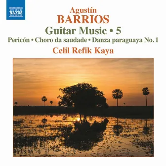 Barrios Mangoré: Guitar Music, Vol. 5 by Celil Refik Kaya