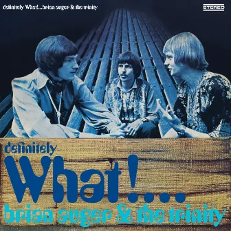 Definitely What by Brian Auger & The Trinity