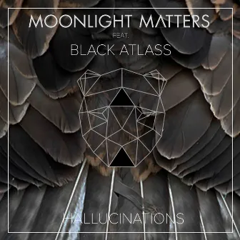 Hallucinations (feat. Black Atlass) by Moonlight Matters