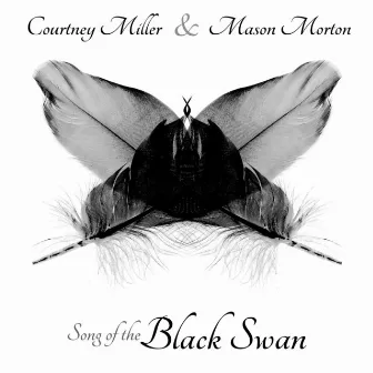 Song of the Black Swan by Courtney Miller