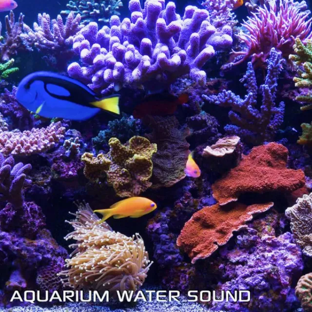 Aquarium Sound Surround