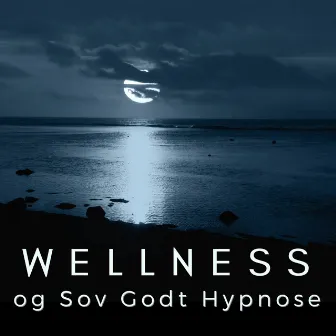 Wellness og Sov Godt Hypnose - Sov Godt uden Søvnproblemer, Afspænding & Meditation by Sov Godt Hypnose