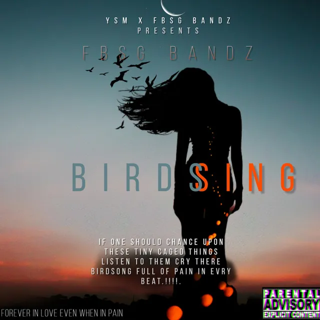 Birds Sing