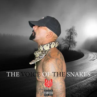 The Voice of the Snakes by Desert Dog