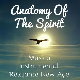 Anatomy Of The Spirit - Música Instrumental Relajante New Age para Masaje Ayurveda Desarrollo de la Mente y Sueño Profundo by New Age Relajación Science