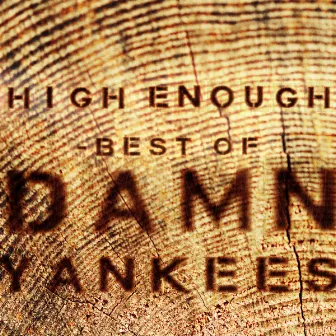 High Enough - Best Of by Damn Yankees