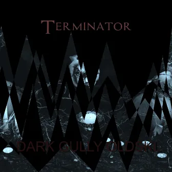 Dark Gully Oldskl by Terminator