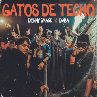 Gatos de Techo by Donny Smack