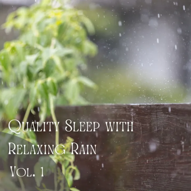 Rain and Thunder Sound Study Music