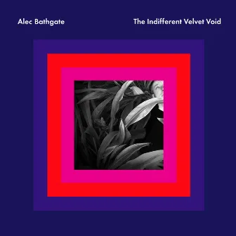 The Indifferent Velvet Void by Alec Bathgate