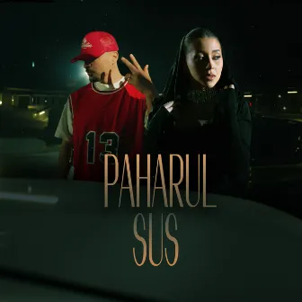 Paharul sus by Nicole Cherry