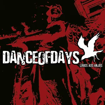 Lírios aos Anjos by Dance of Days