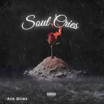 Soul Cries by Ace Dubz