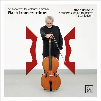 Bach Transcriptions: Six Concertos for Violoncello Piccolo by Accademia dell'Annunciata