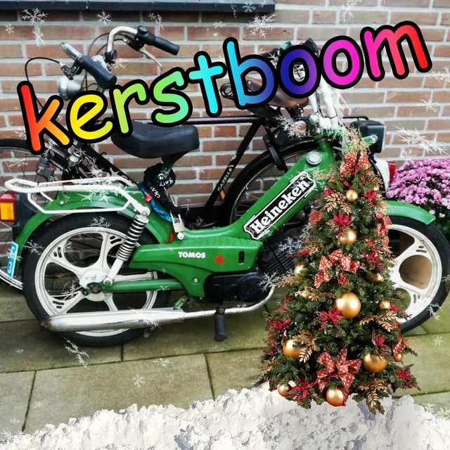 Kerstboom