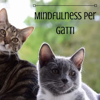 Mindfulness per Gatti - Musicoterapia Felina e Animale by Zen Boutique