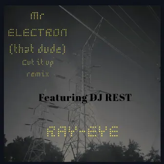 Mr Electron (That Dude) [feat. Dj Rest] [Cut It Up Remix] by RAY-EYE