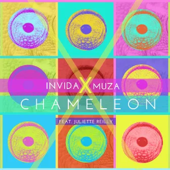 Chameleon by Muza