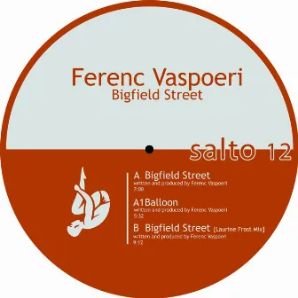 Bigfield Street by Ferenc Vaspoeri