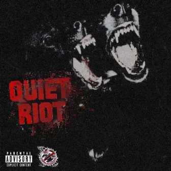 QUI3T RIOT by Ricky Lagoon