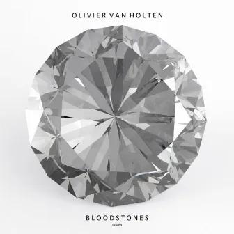 Bloodstones by Olivier Van Holten