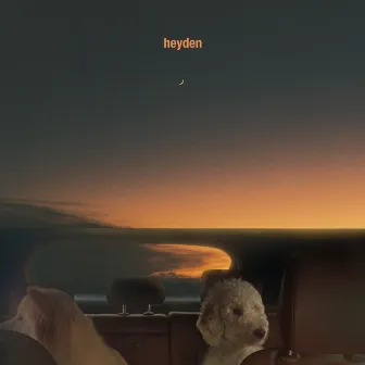 This song is about you by heyden