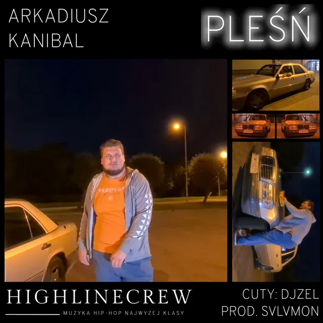 Pleśń