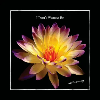 I Don't Wanna Be by inHarmony