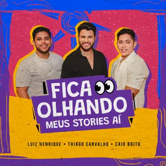 Fica Olhando Meus Stories Aí by Luiz Henrique