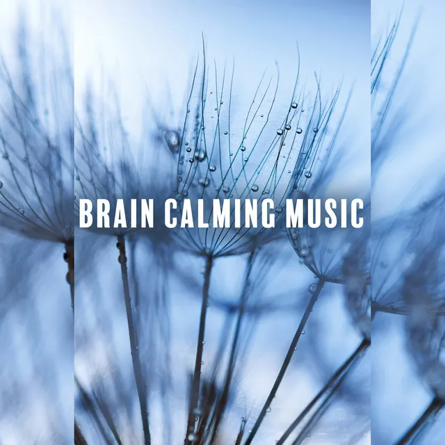 Brain Calming Music: Songs for Calming Down, Soothing and Relaxing, Stop Overthinking