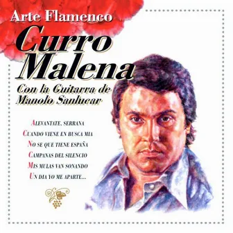 Arte Flamenco : Curro Malena by Curro Malena