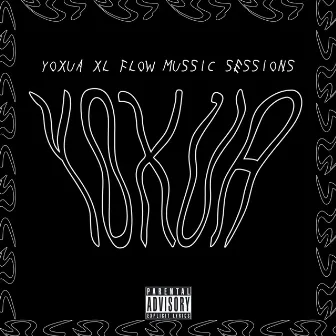 Flow Music Sessions, Vol. 1 by X Load