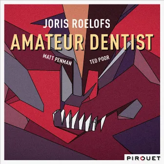 Amateur Dentist by Joris Roelofs