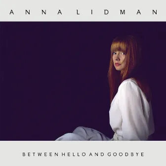 Between Hello and Goodbye by Anna Lidman