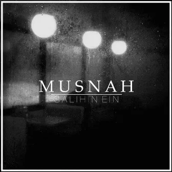 Musnah by Salihin Ein