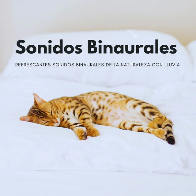 La Sinfonía Brumosa De La Naturaleza