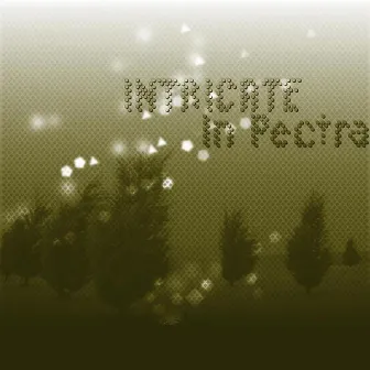 In Pectra by Intricate