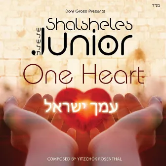 Amcha Yisroel One Heart by Shalsheles Junior